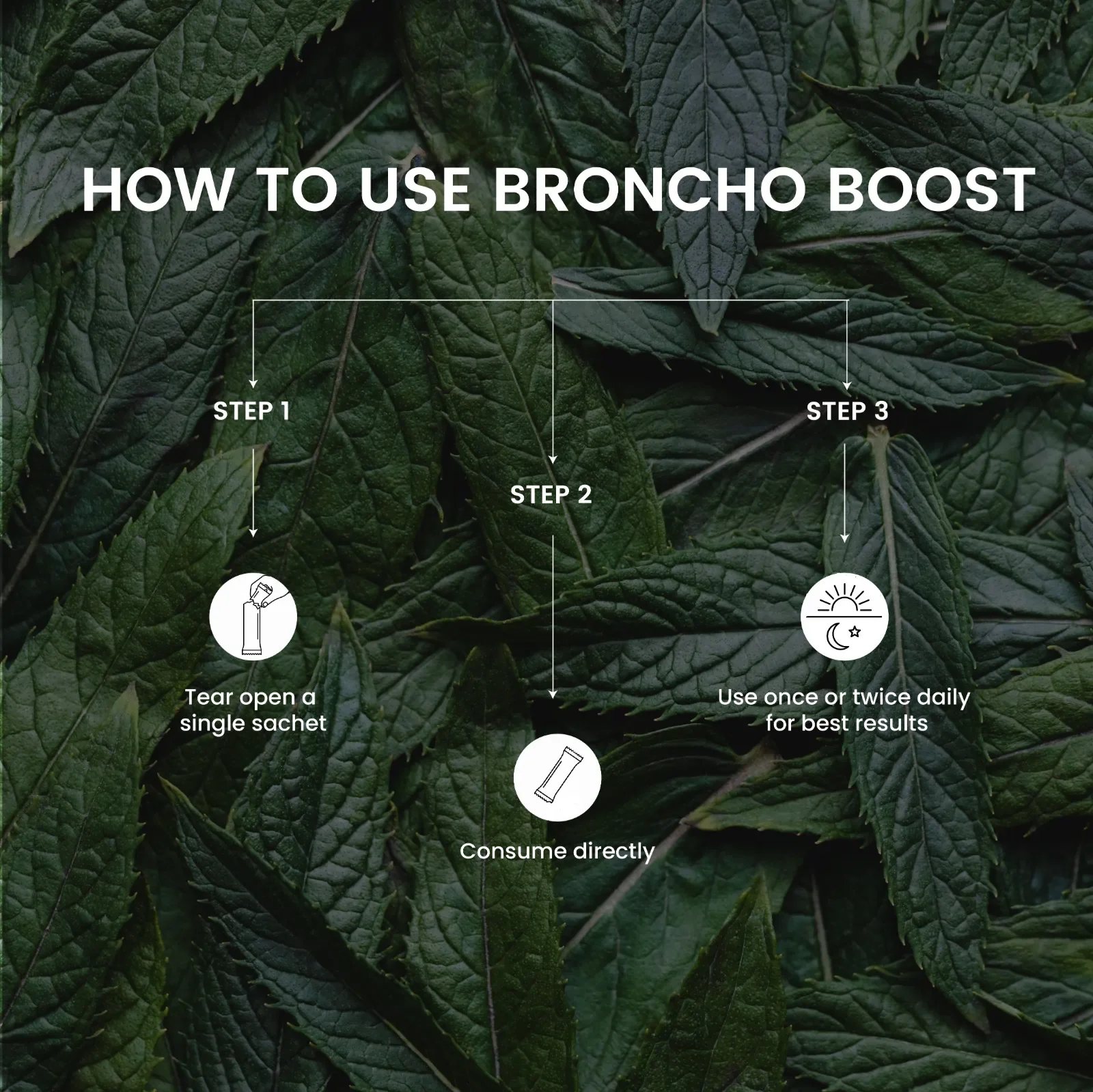 Broncho Boost - Image 5