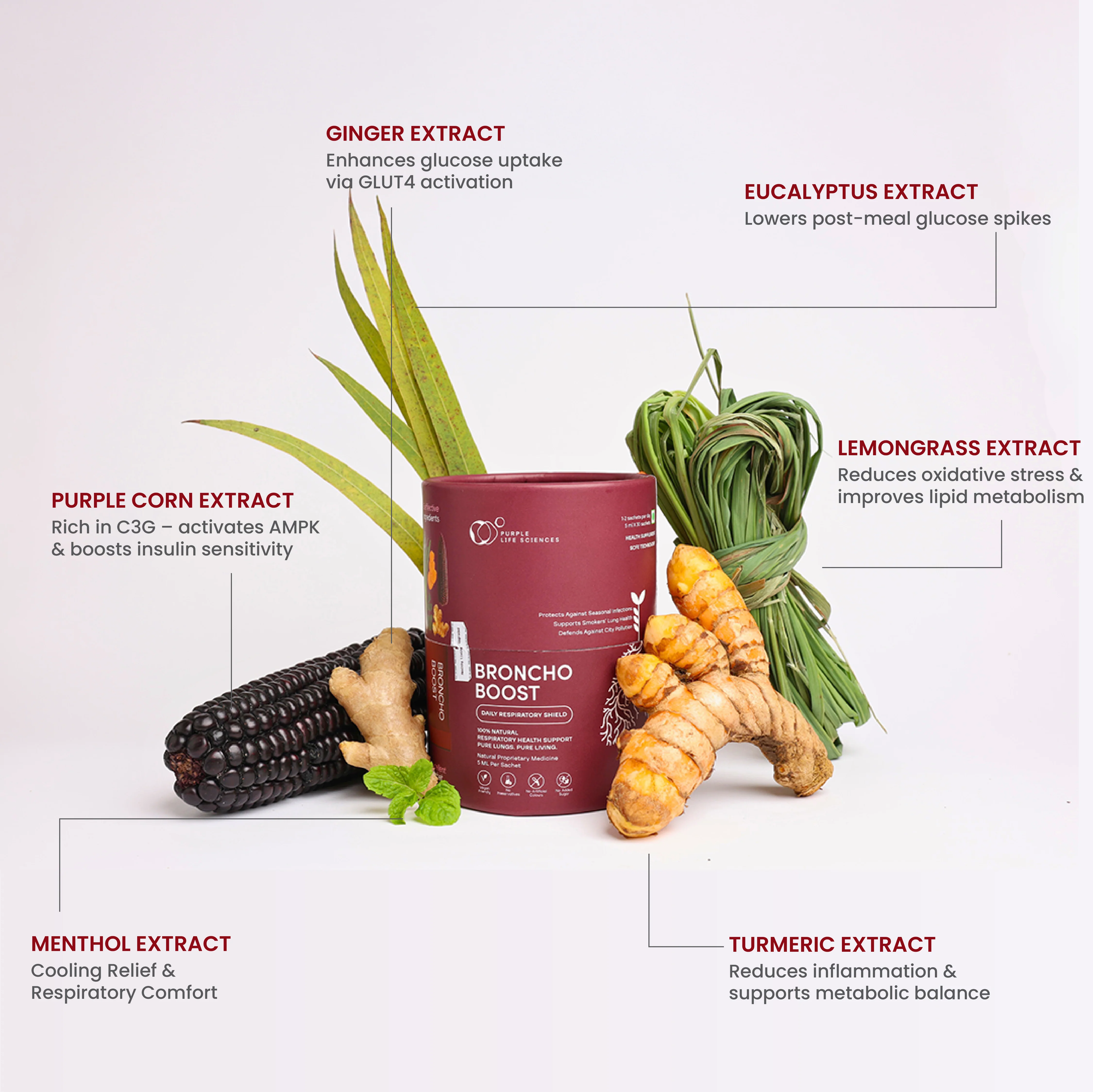 Detox & Pollution Shield Bundle - Image 8