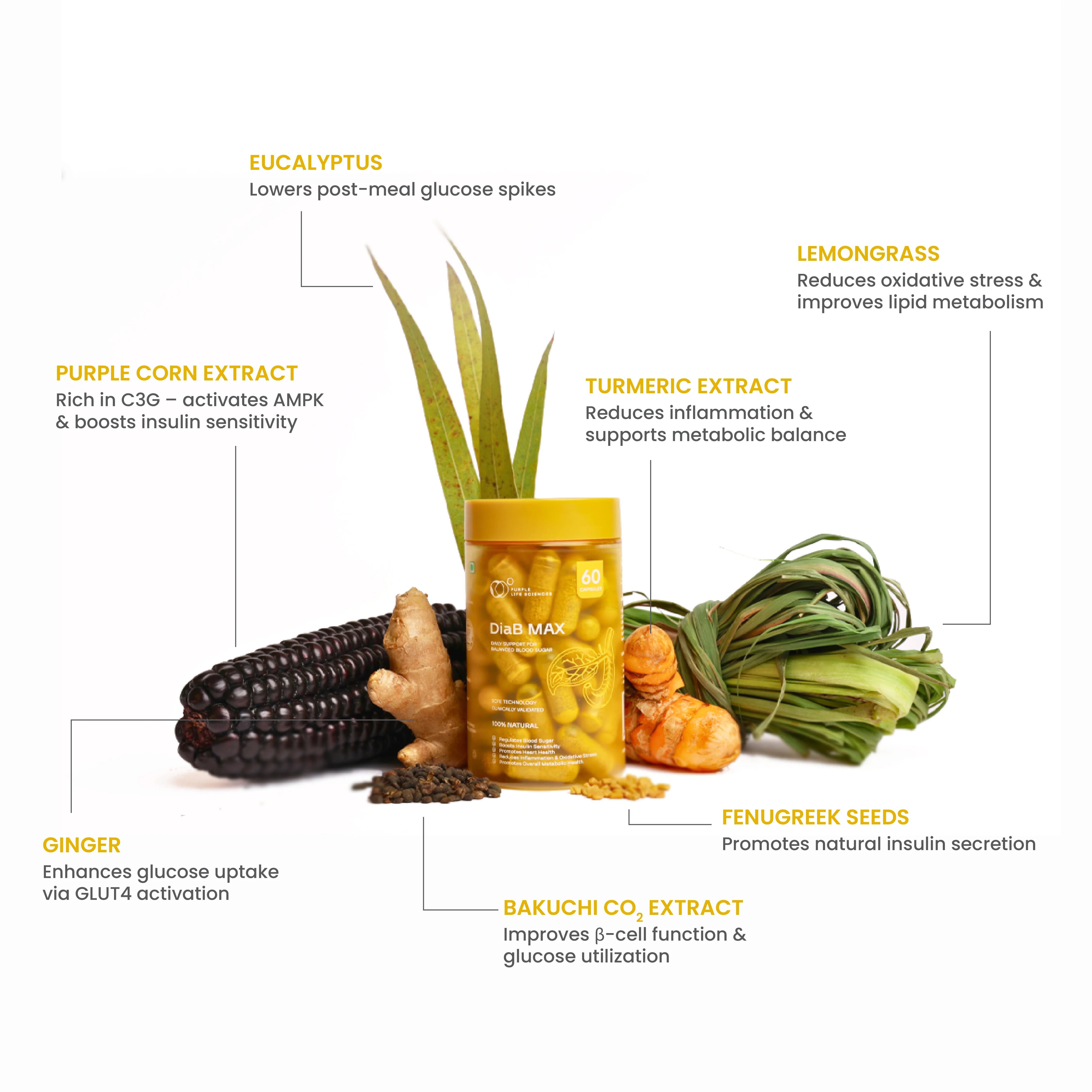 Total Wellness Bundle - Image 13